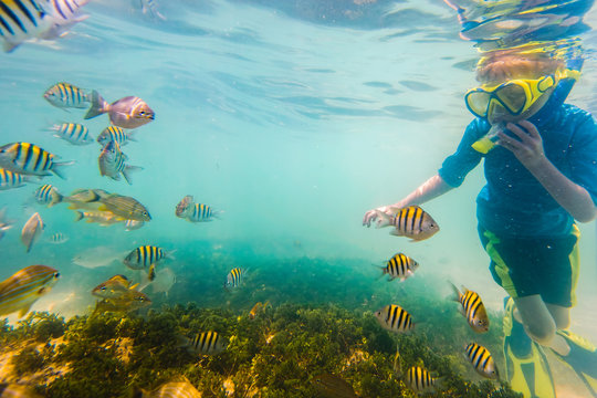 Boy snorkeling underwater on tropical reef 