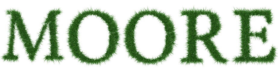 Moore - 3D rendering fresh Grass letters isolated on whhite background.