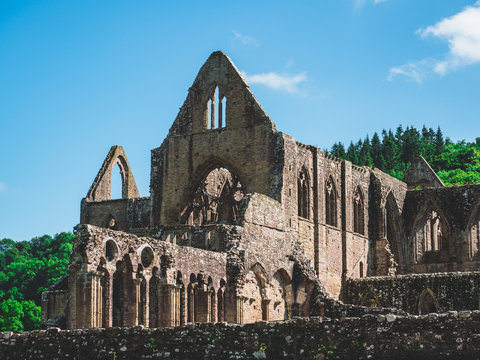 Tintern Abbey