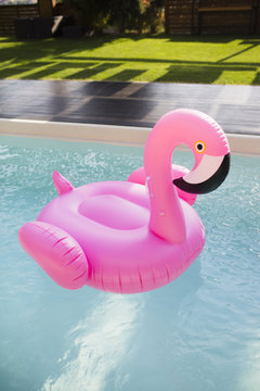 Flamingo float in the pool