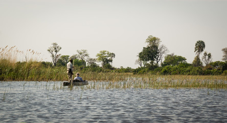 Obraz na płótnie Canvas Moroko at Okavango Delta
