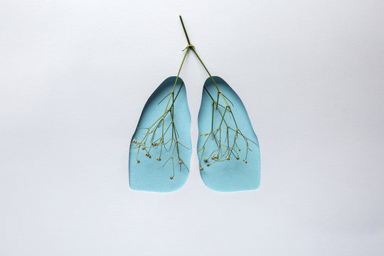 Human lungs shape cut out of paper and arteries and veins symbolized by green stems