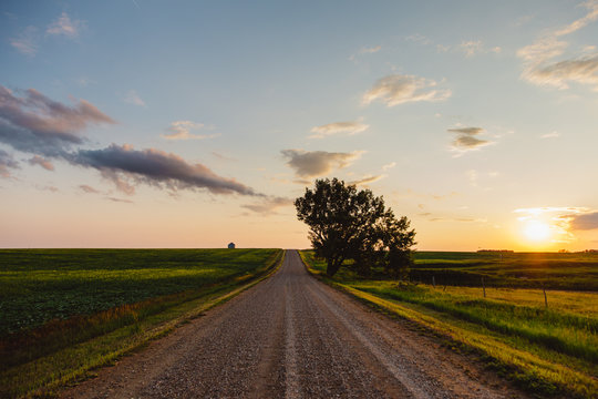 Gravel road through farmers field at dusk