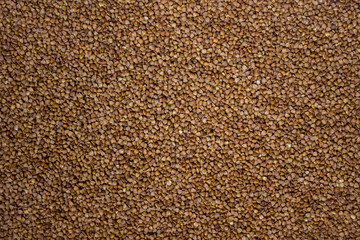 The source of vegetable protein.