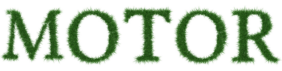 Motor - 3D rendering fresh Grass letters isolated on whhite background.