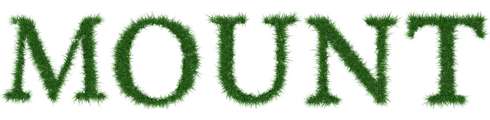Mount - 3D rendering fresh Grass letters isolated on whhite background.