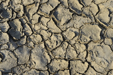 Dry soil cracking