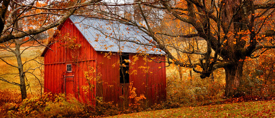 Autumn landscape with little red barn. Colorful orange and yellow fall leaves. Banner format