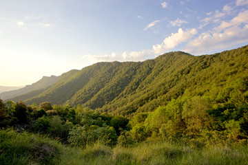 Sant Pere de Torelló