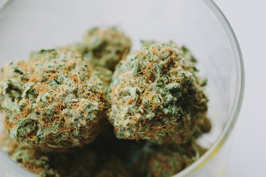 Cannabis Close up