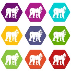 Mandrill monkey icon set color hexahedron