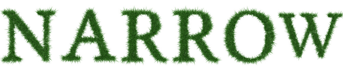 Narrow - 3D rendering fresh Grass letters isolated on whhite background.
