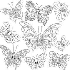Set of different butterflies with beautiful wings