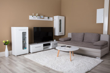 Apartment With Television And Sofa