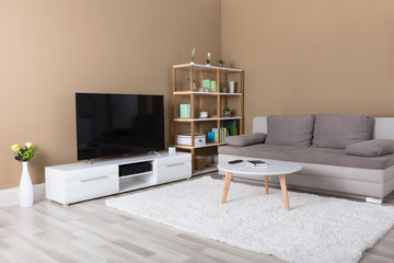 Apartment With Television And Sofa