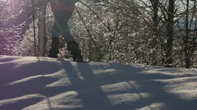 Trekking con le ciaspole in inverno