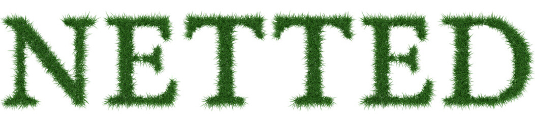 Netted - 3D rendering fresh Grass letters isolated on whhite background.