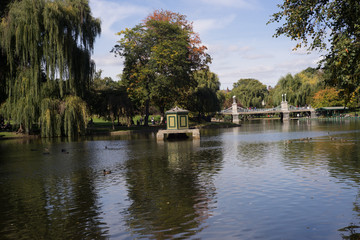 Fototapeta na wymiar Pond in Boston Public Garden