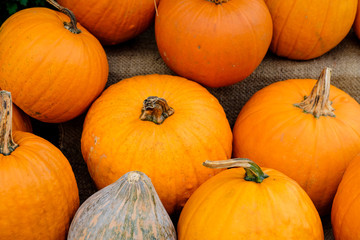 ハロウィンカボチャ