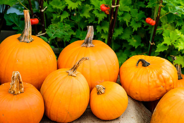 ハロウィンカボチャ