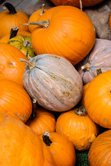 ハロウィンカボチャ