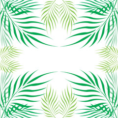 Graphic Leaves of coconut abstract pattern background Green - light green on white background, Vector illustration