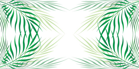 Graphic Leaves of coconut abstract pattern background Green - light green on white background, Vector illustration