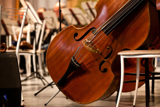 Basses standing on the stage in a symphony orchestra