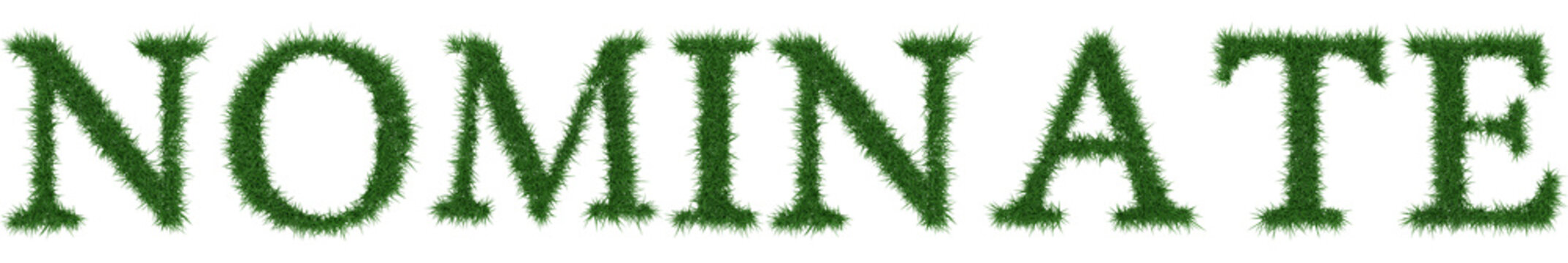 Nominate - 3D rendering fresh Grass letters isolated on whhite background.