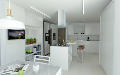 White kitchen