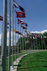 Flags