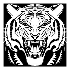 Angry tiger head; hand drawn vector graphic. Black and white square variant.
