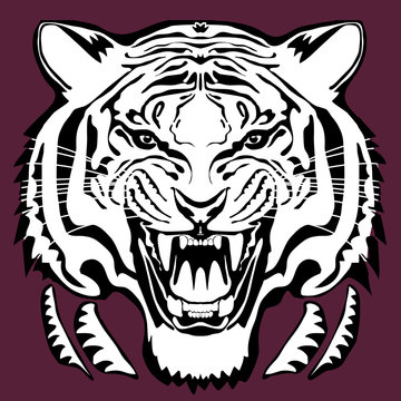 Angry tiger head; hand drawn vector graphic. Black and white variant on isolated background.