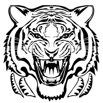 Angry tiger head; hand drawn vector graphic. Black drawing on isolated white background.