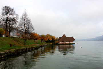 Obraz premium Blue lake of annecy with a parade of couple of grebes and mountains on winter morning
