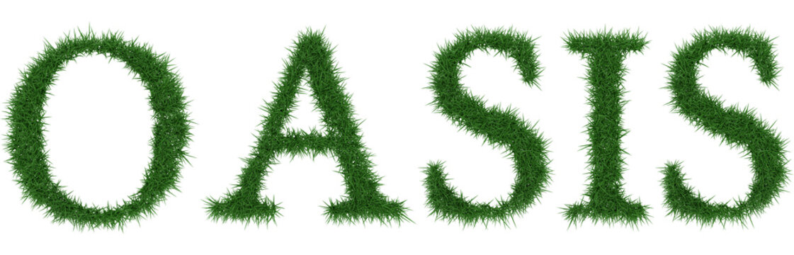Oasis - 3D rendering fresh Grass letters isolated on whhite background.