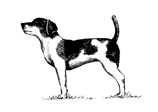 イラスト素材 犬 手書き Stock Vector Adobe Stock イラスト素材 犬 手書き Stock Vector Adobe Stock