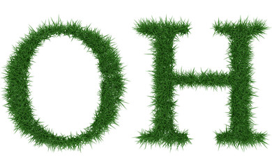 Fototapeta na wymiar Oh - 3D rendering fresh Grass letters isolated on whhite background.
