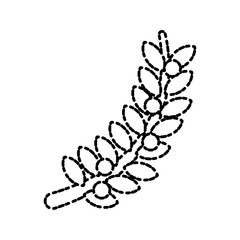 Bouquet of coffee leaves icon vector illustration graphic design