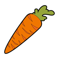 carrots fresh isolated icon