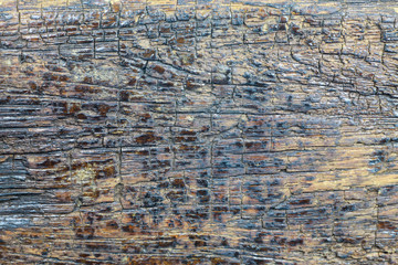 Rotten wood, Wood decay, Old wooden pattern