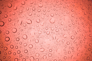 Rain droplets on red glass background, Water drops on glass.