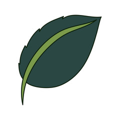 leaf icon image