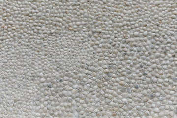 white shell background