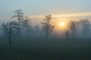 Rolgordijnen Natuur Konnu Suursoo moeras bij zonsopgang