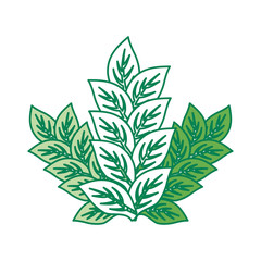 leaves icon over white background colorful design vector illustration