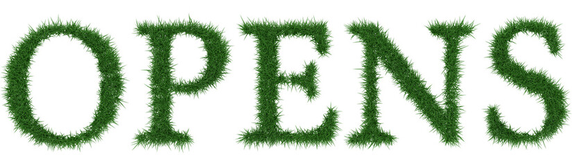 Opens - 3D rendering fresh Grass letters isolated on whhite background.