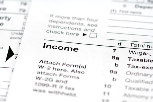 income, part of tax return form, close up shot