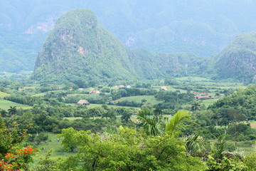 Cuba. Vinales. The valley where fine tobacco grows