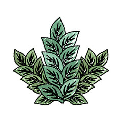 leaves icon over white background colorful design vector illustration